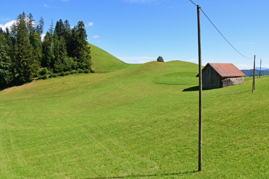 Im Fontannenland