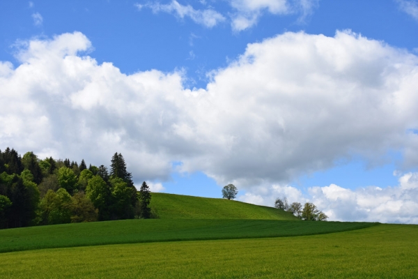 Im Hinterland