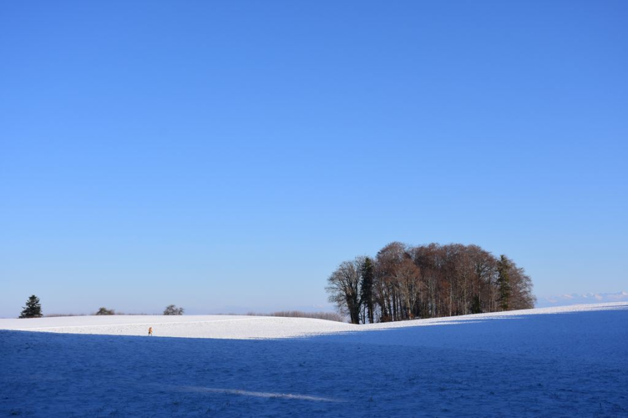 Winterland